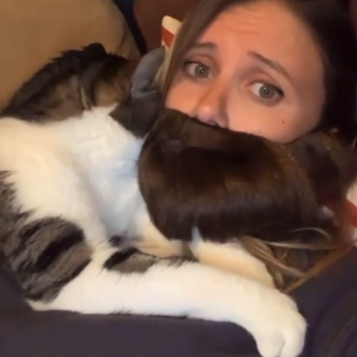 cat lying on woman