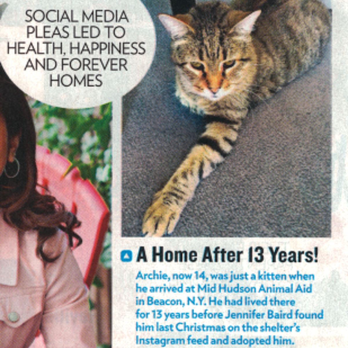cat magazine poster