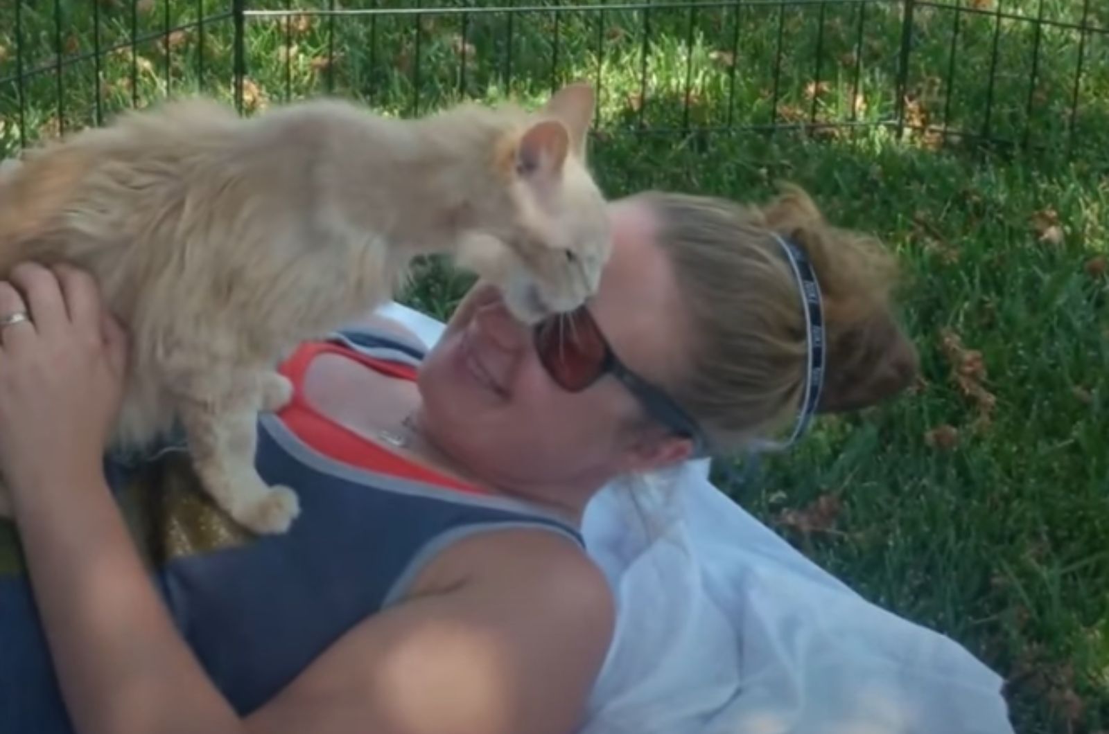 cat on woman's chest
