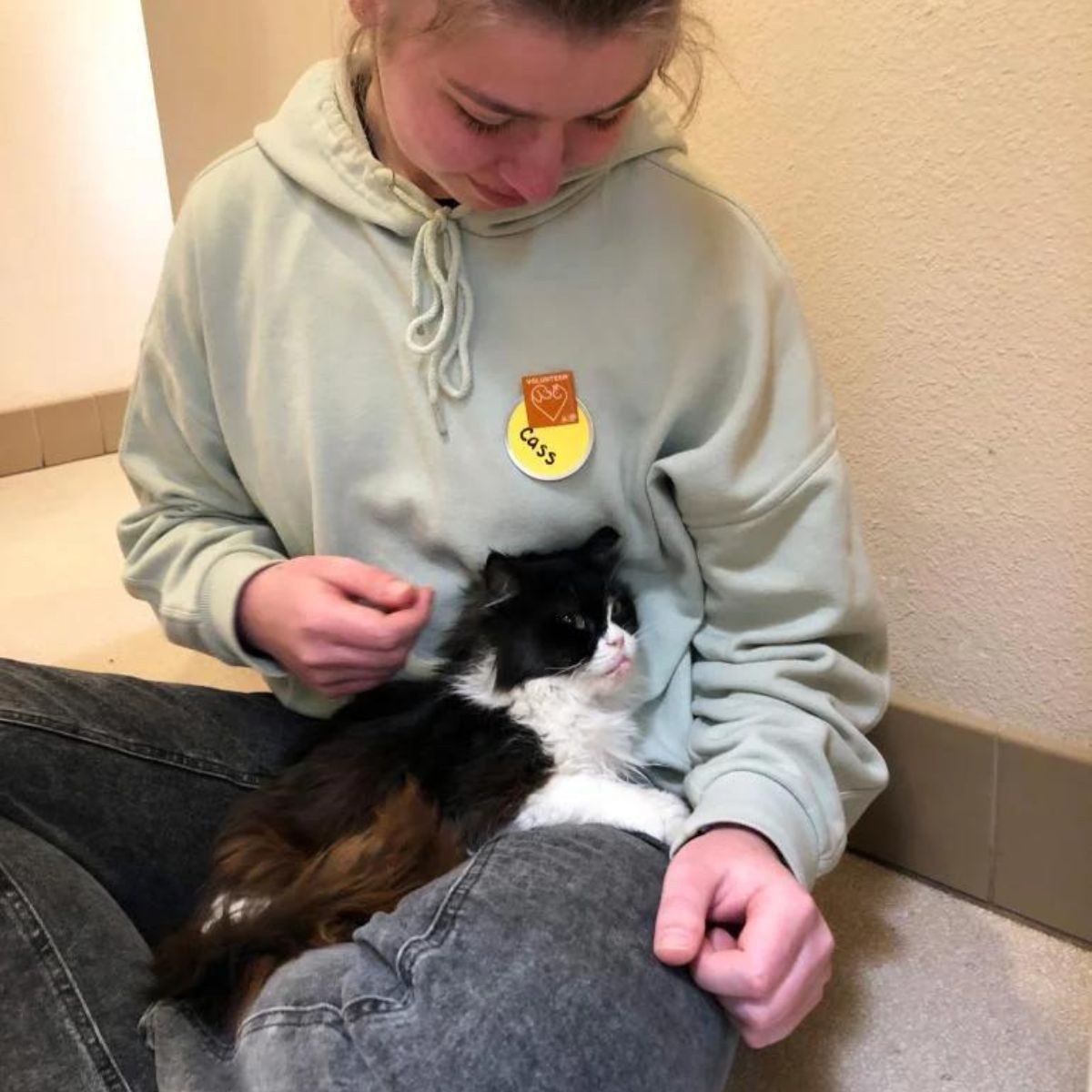 cat settled on the legs of the woman