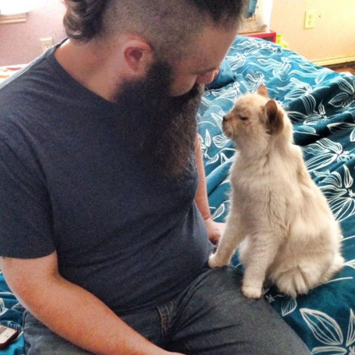cat sitting next to a man