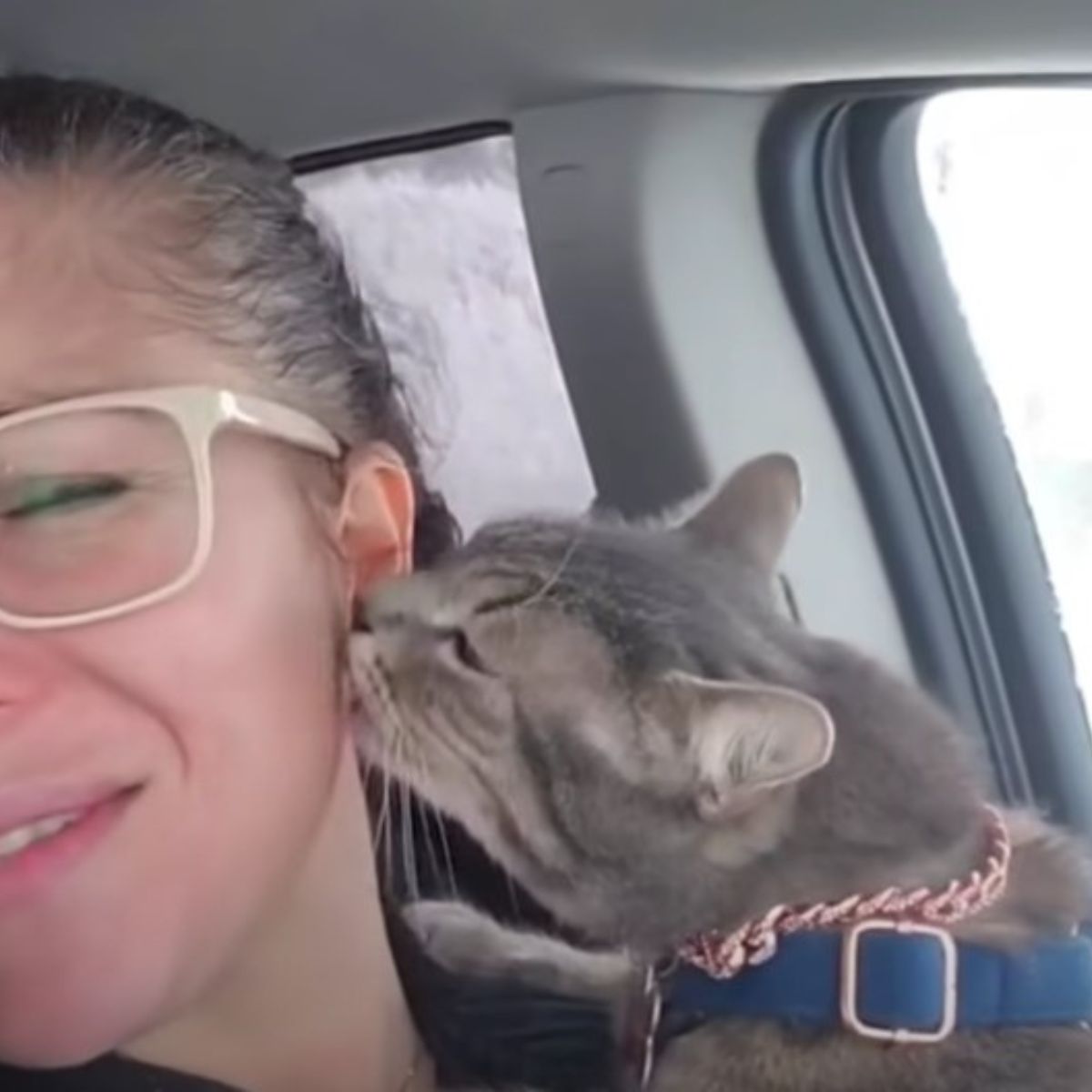 cat sniffing woman