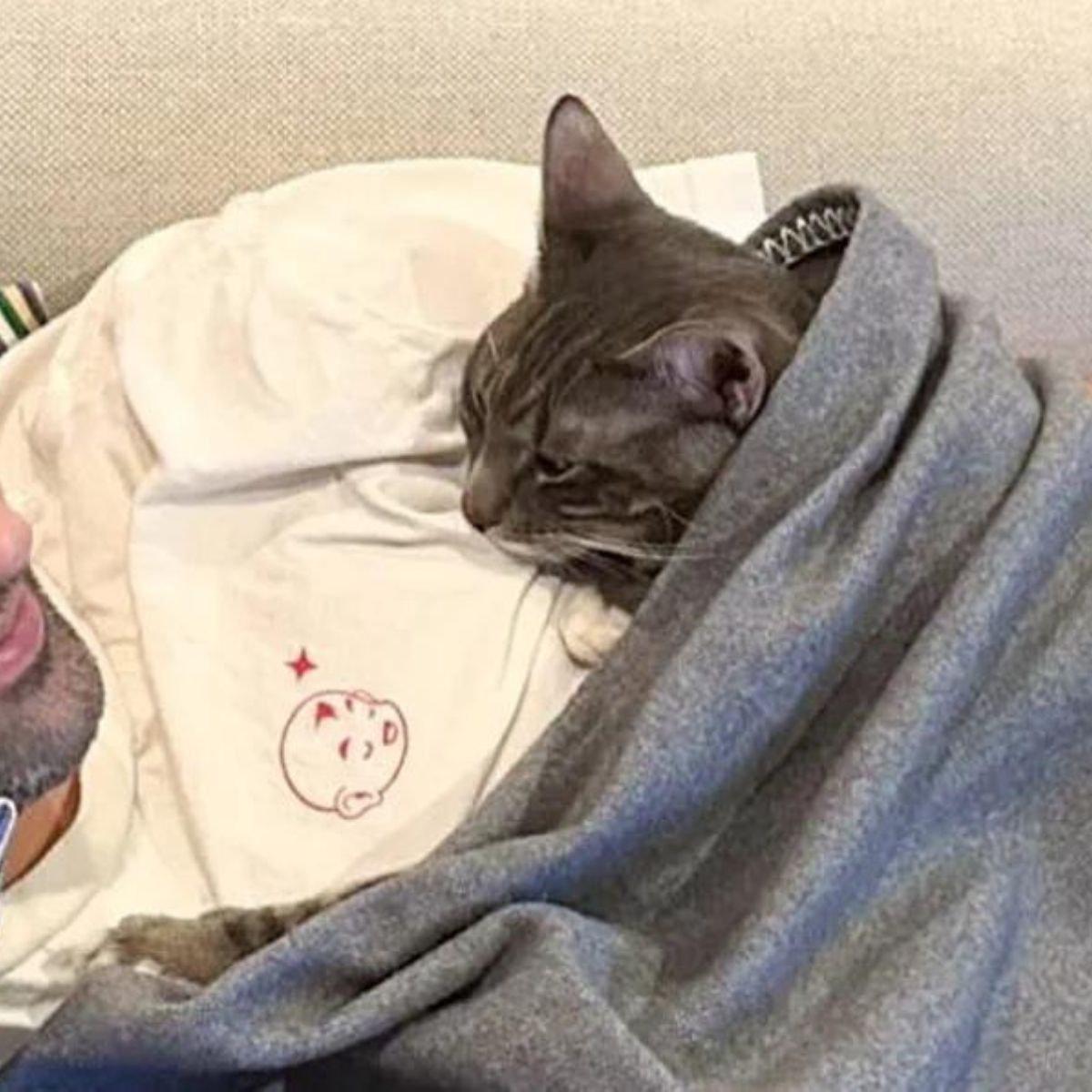 cat snuggled up with the man under the blanket