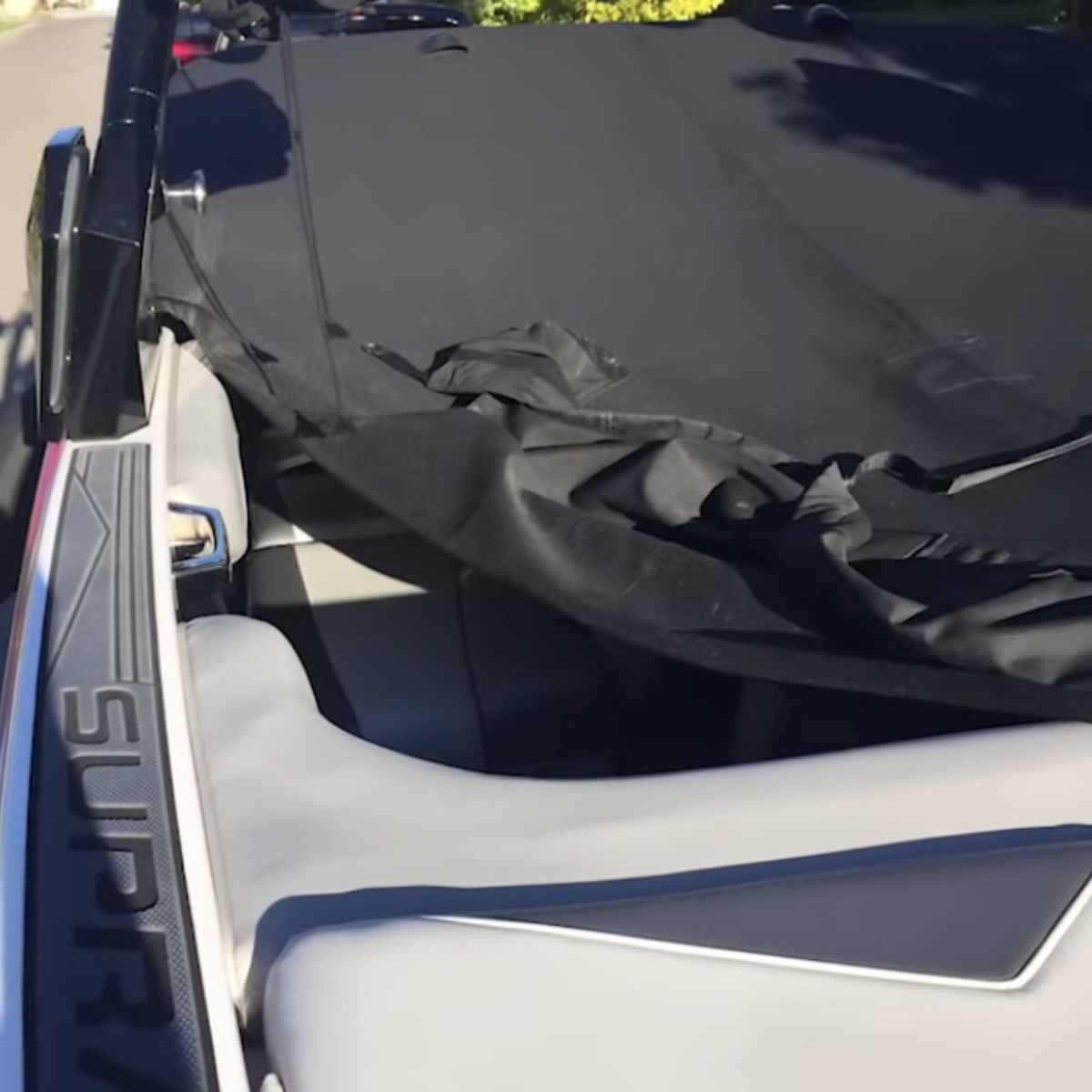 cat under boat cover