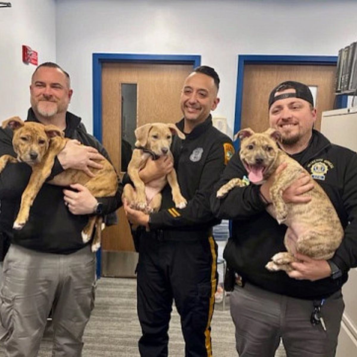 cops holding puppies