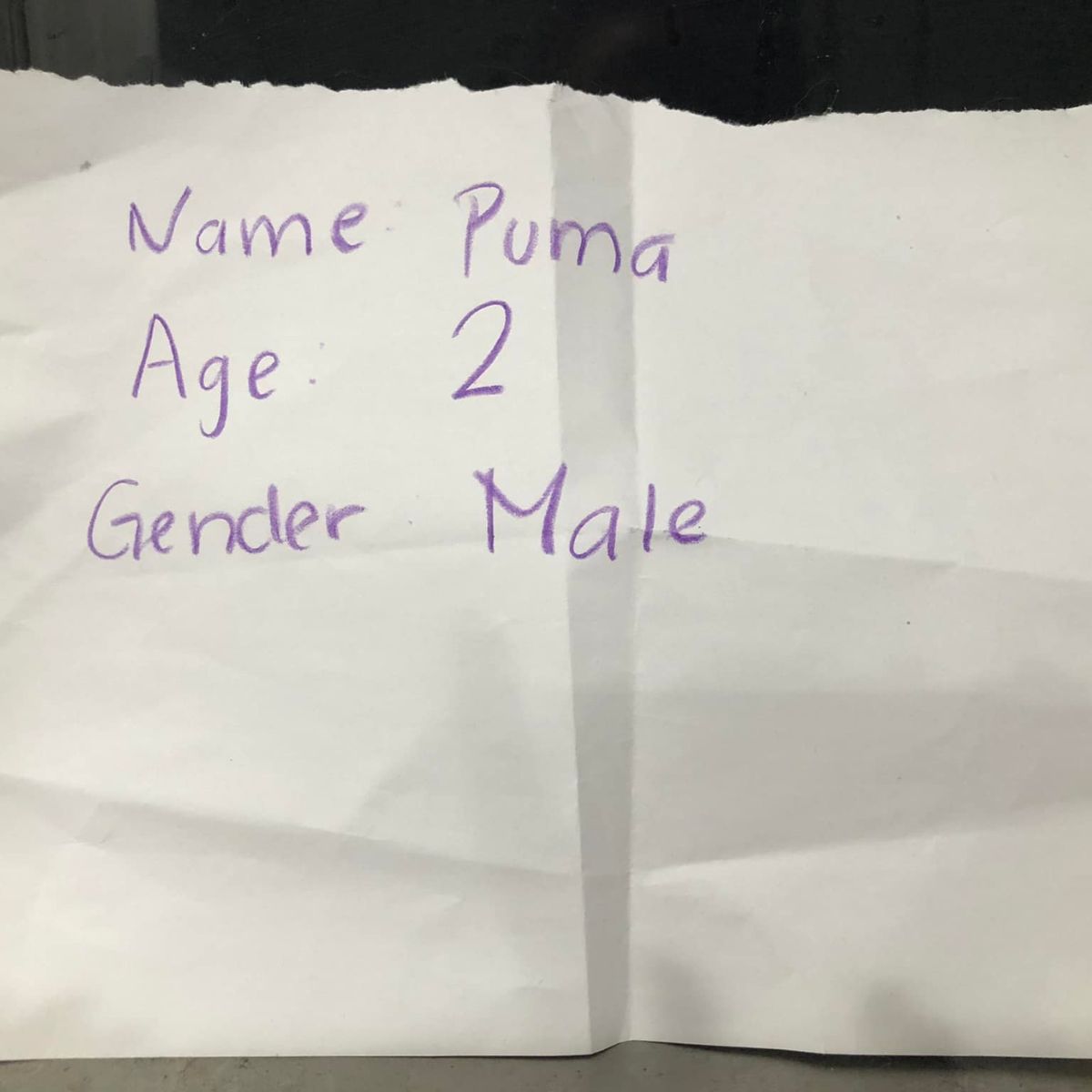 data written on paper