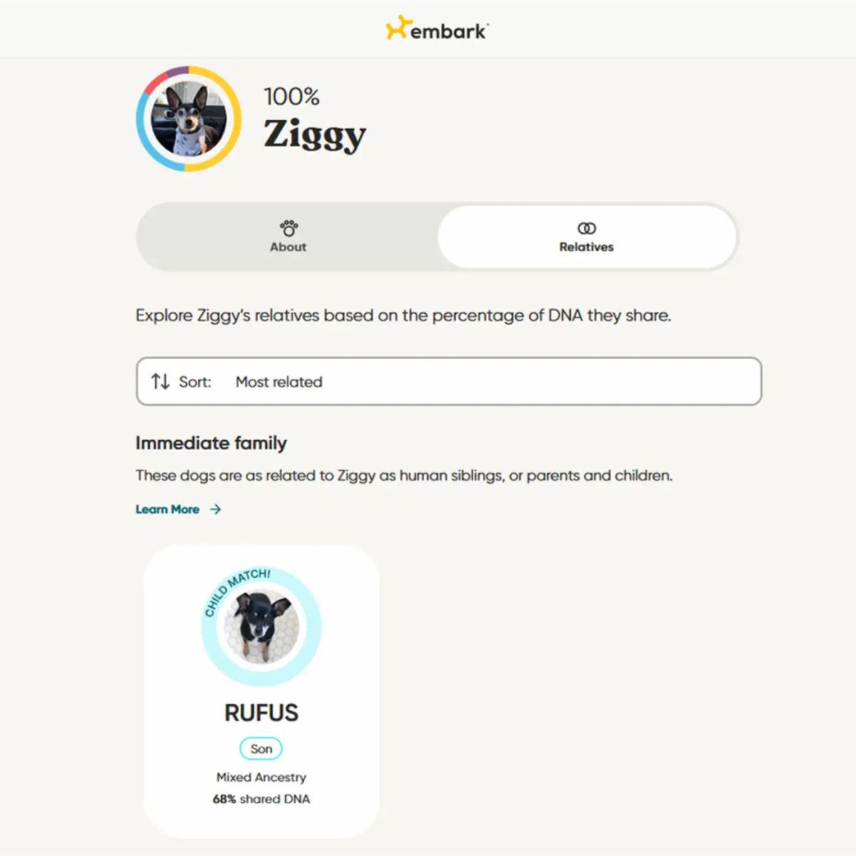 dna result