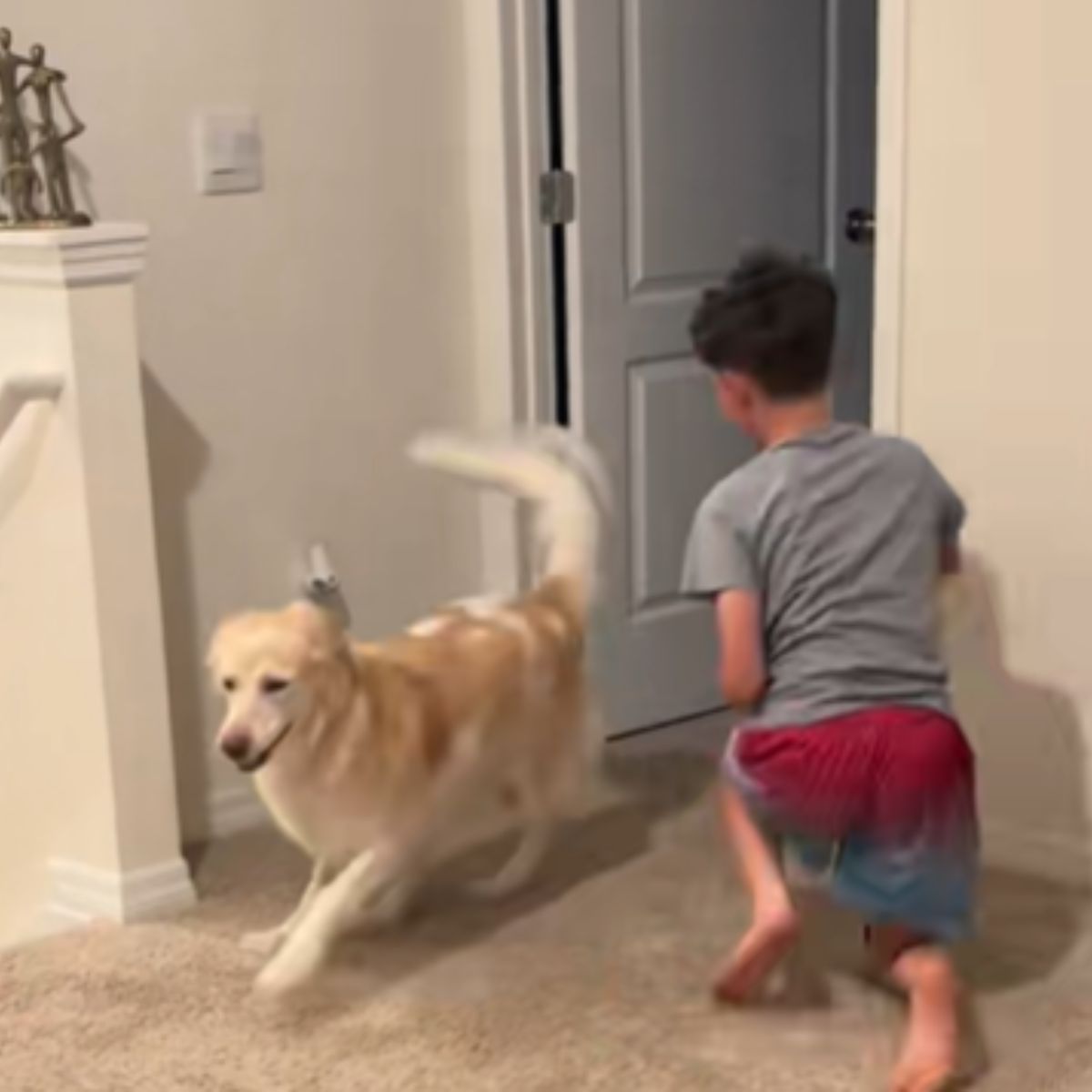 dog and little boy running