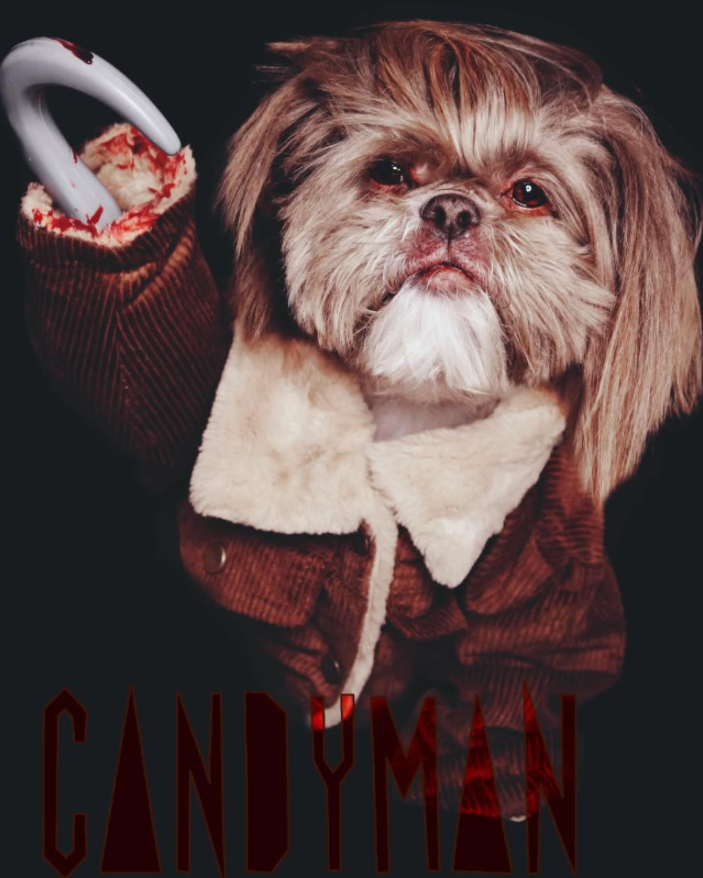 dog halloween costume