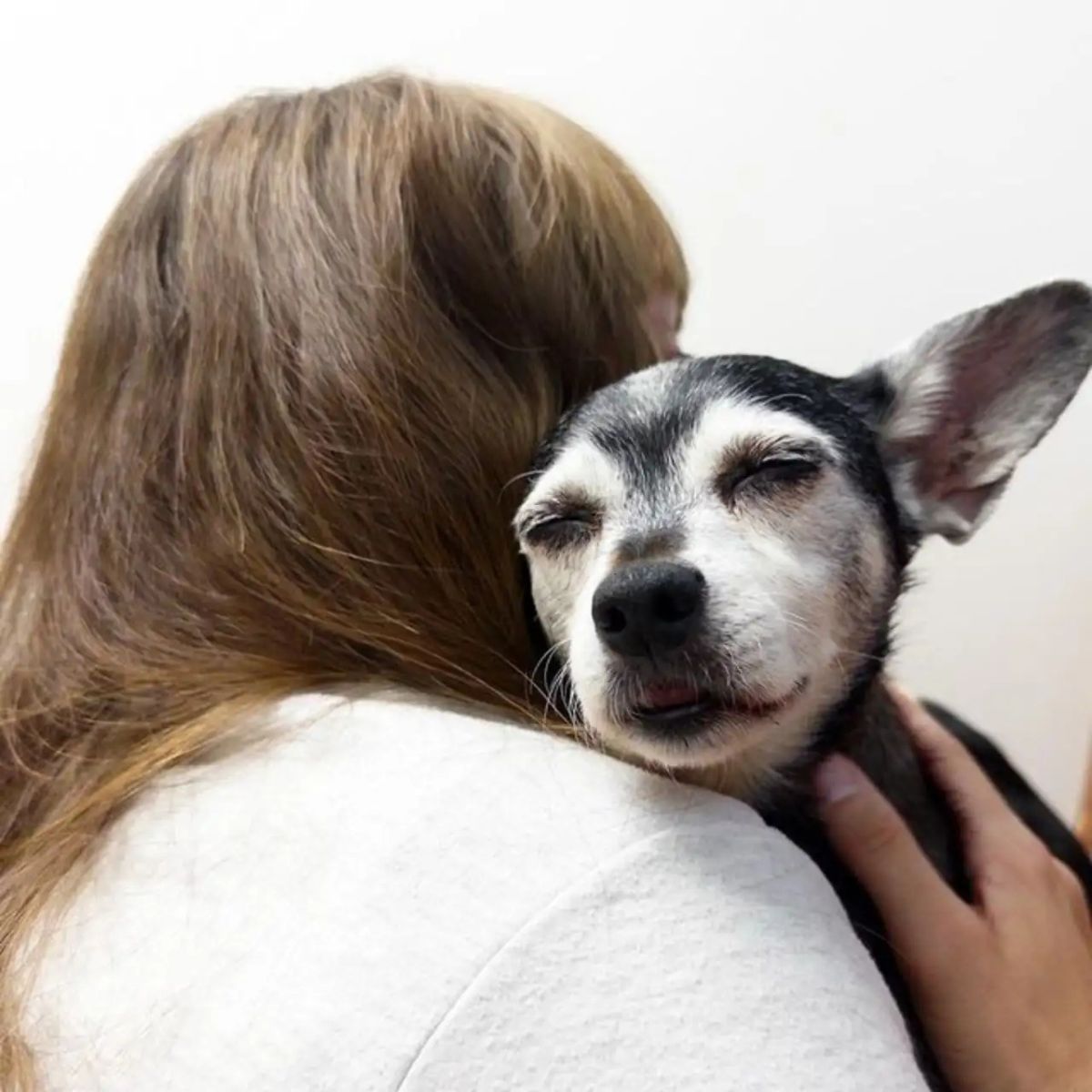 dog hugging owner
