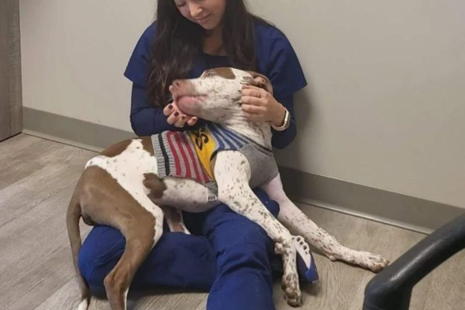 dog in woman's lap