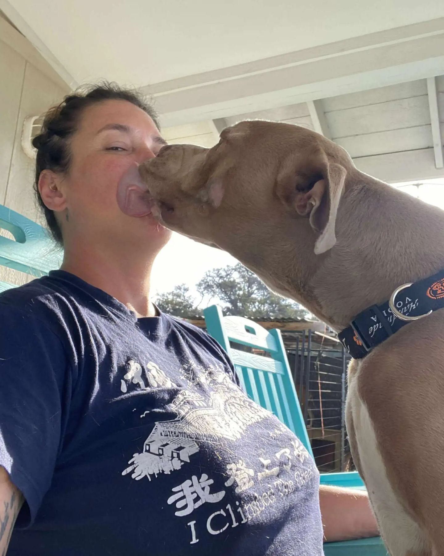 dog lick woman's face