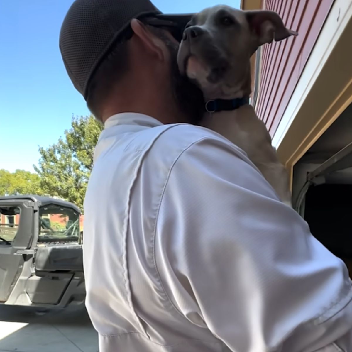 dog on a mans shoulder