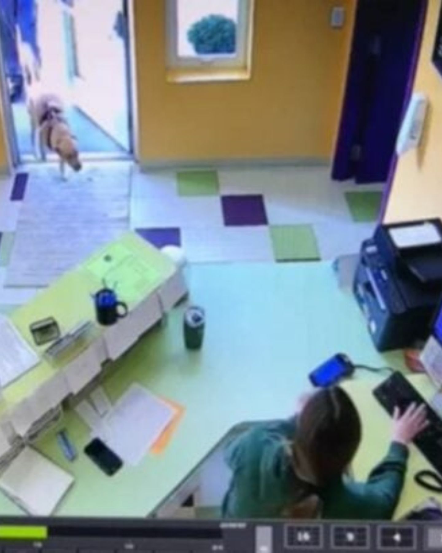 dog showed up at day care