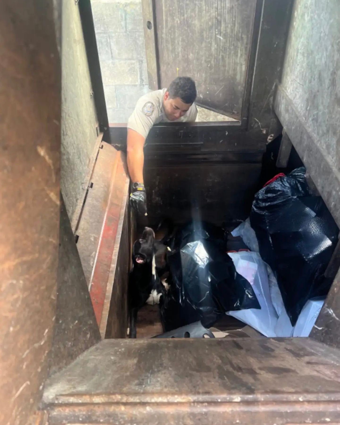 dog stuck in trash compactor