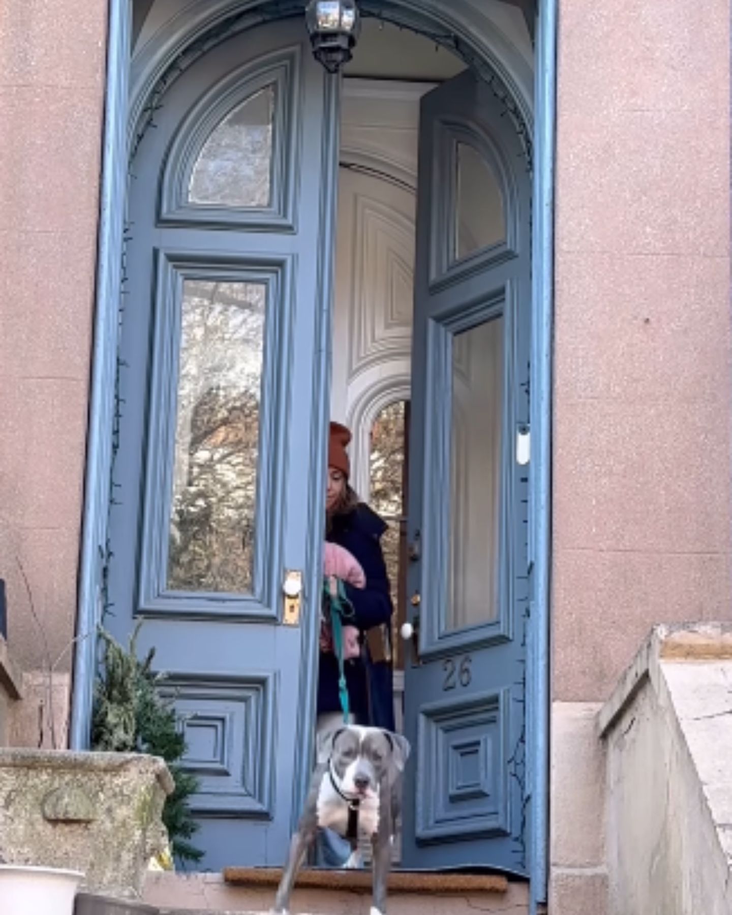 dog walking out the door