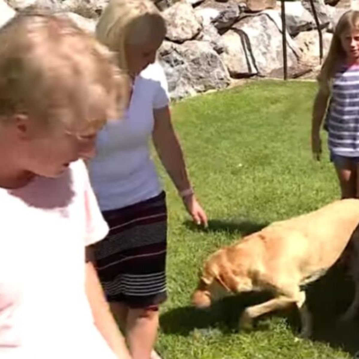dog with a group of people