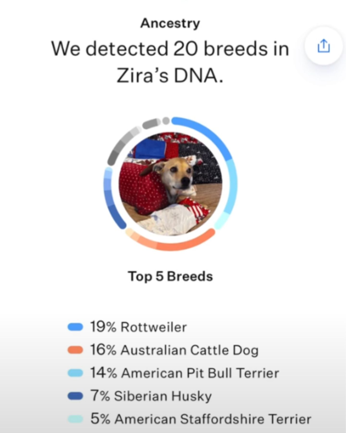 dog's dna results
