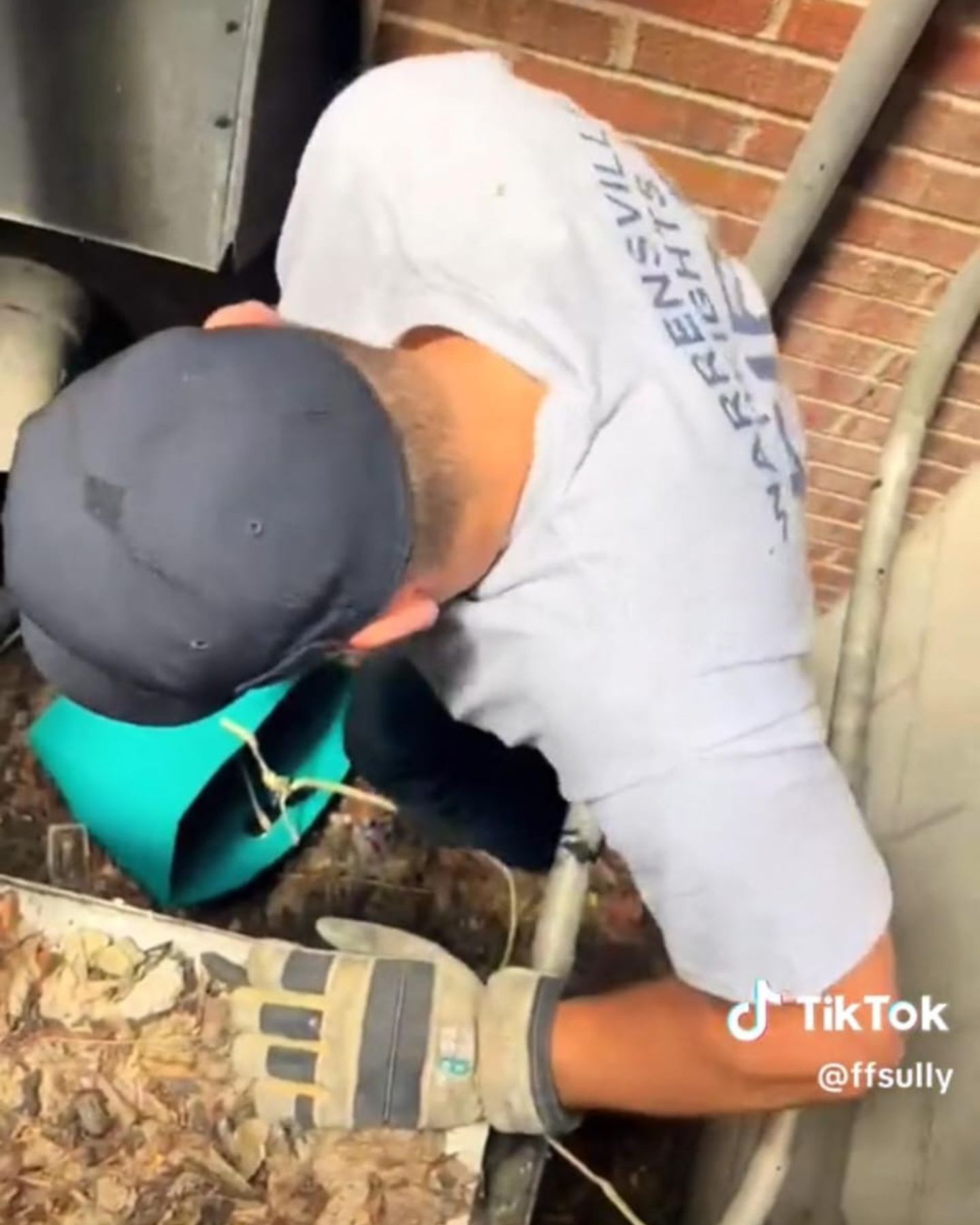 firefighter saves cat