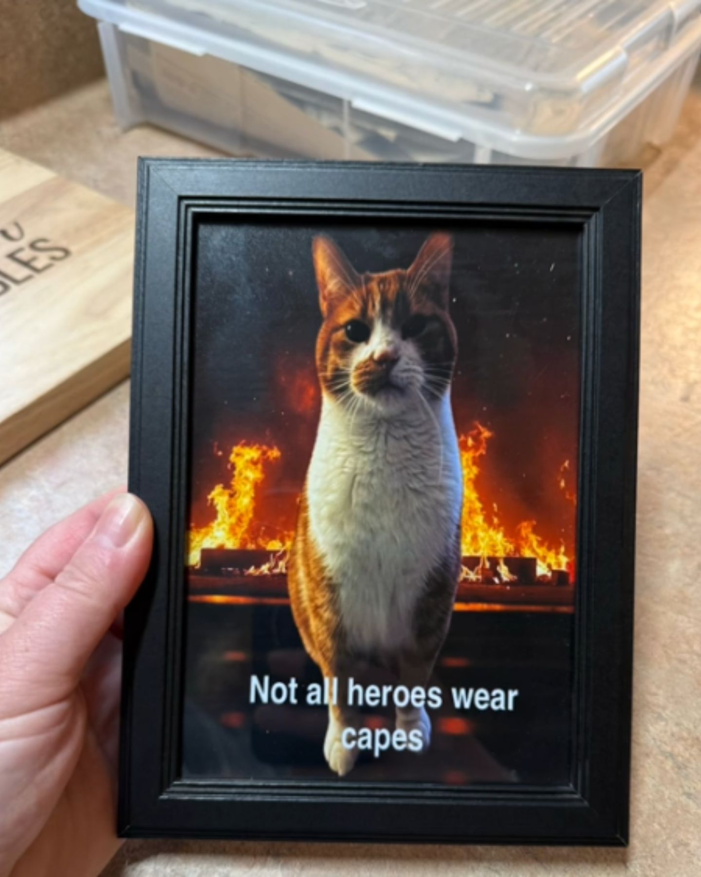 framed picture of a cat