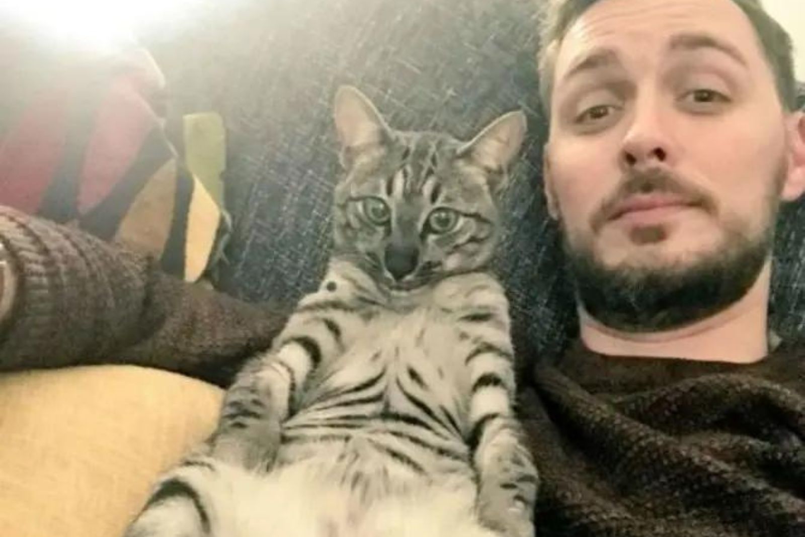 funny cat and man