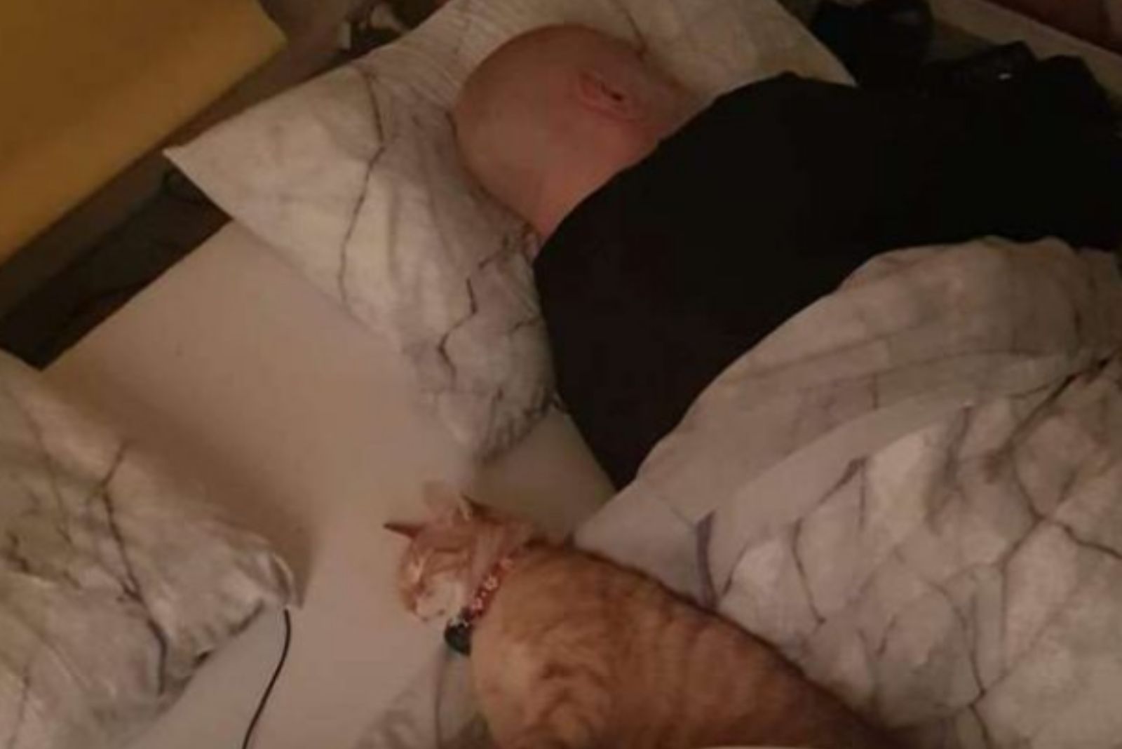 ginger cat and new owner sleeping together in bed