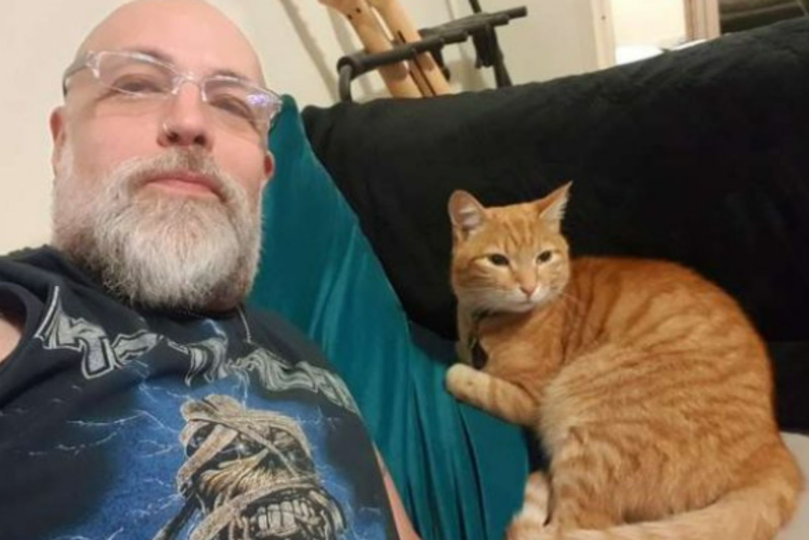 ginger cat and new owner