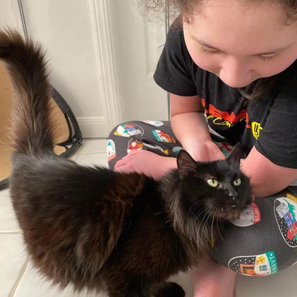 girl petting the cat