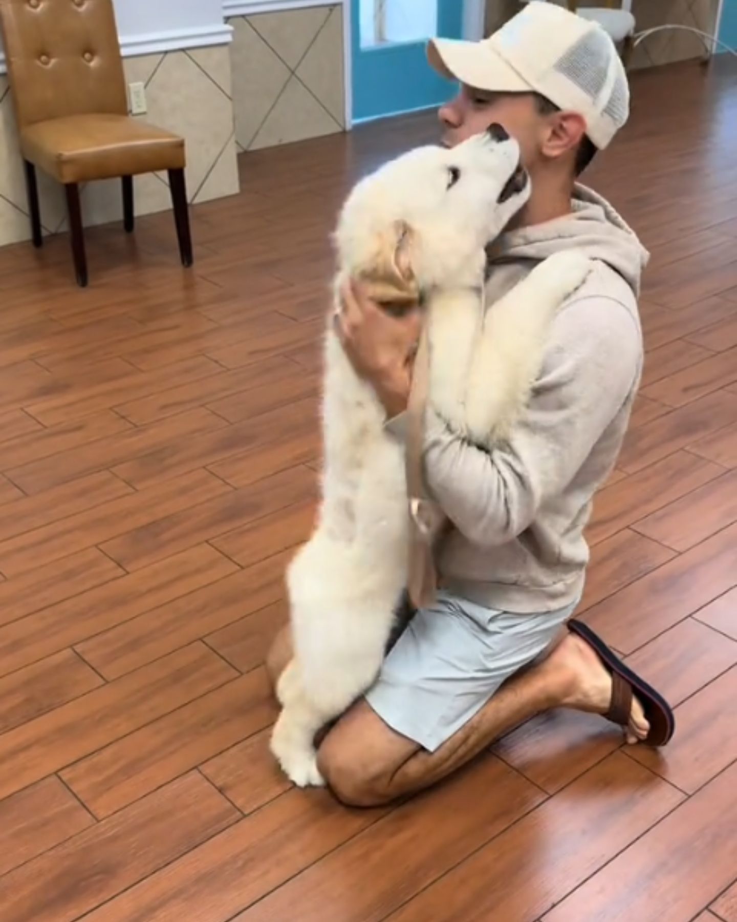 golden retriever puppy and man hugging