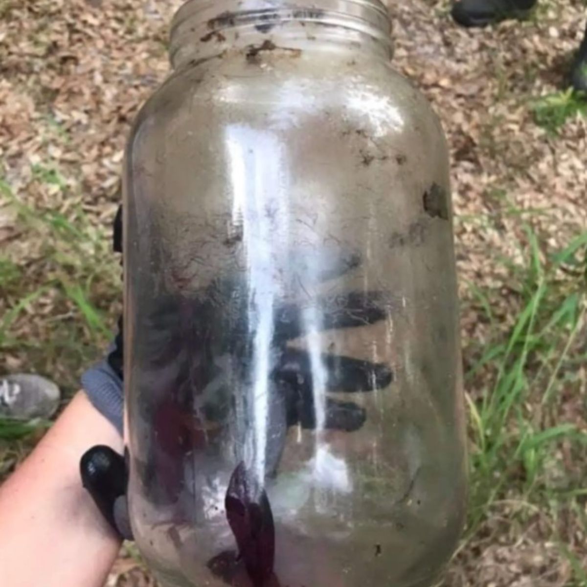 jar