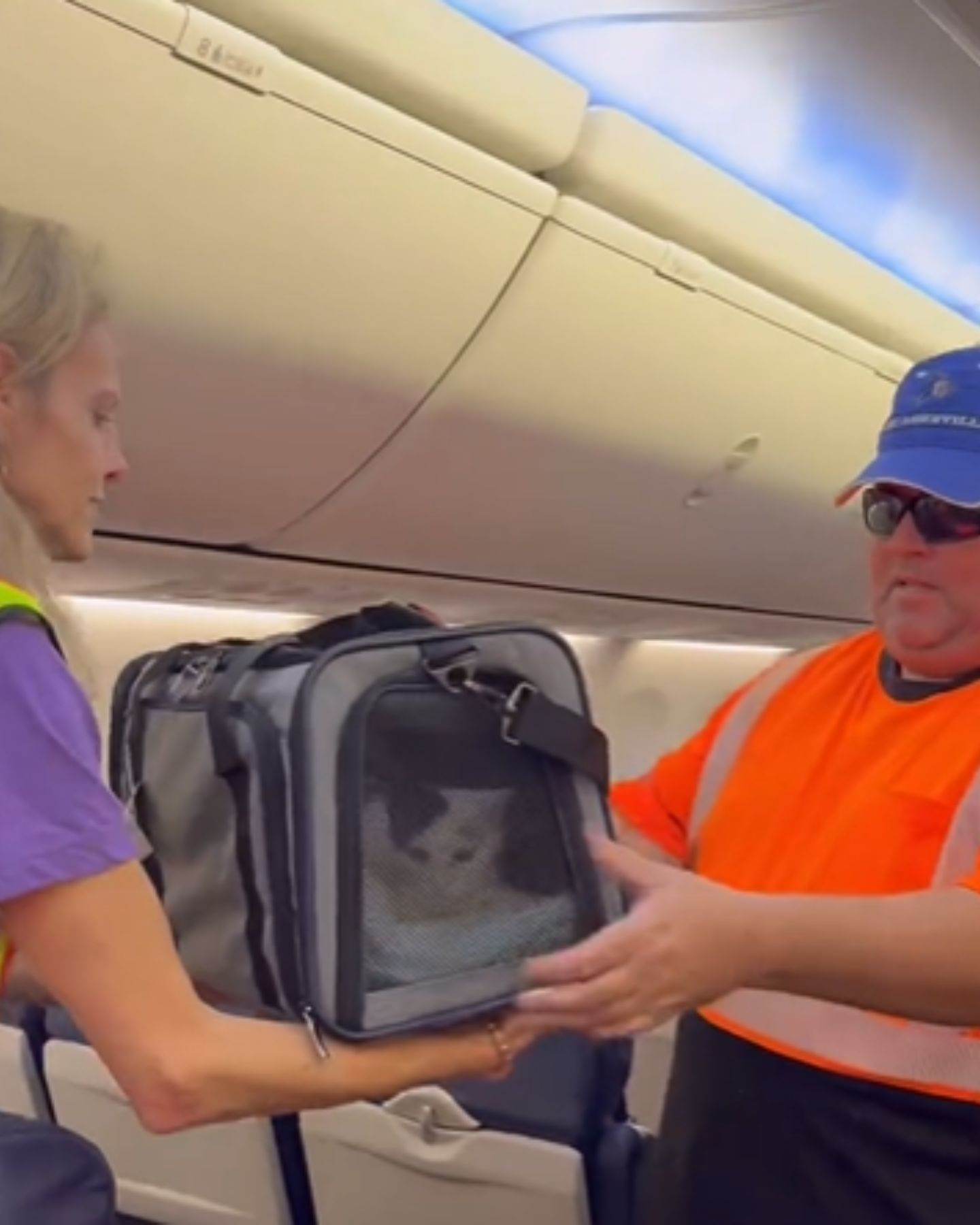 kitten in a carrier on a plane
