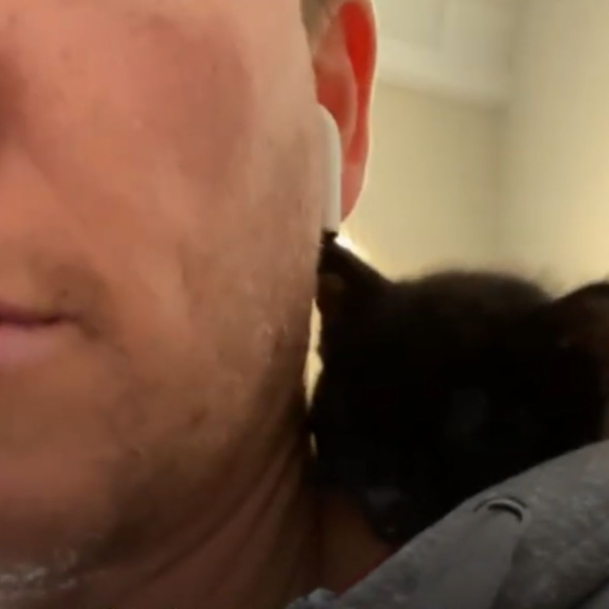 kitten on man's neck
