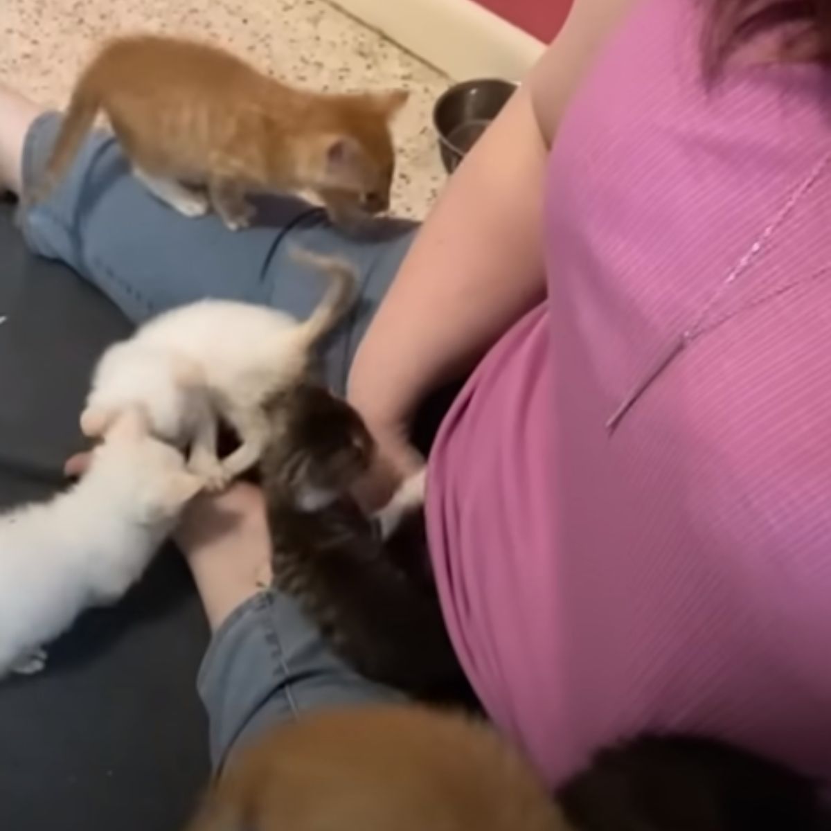 kittens around a woman