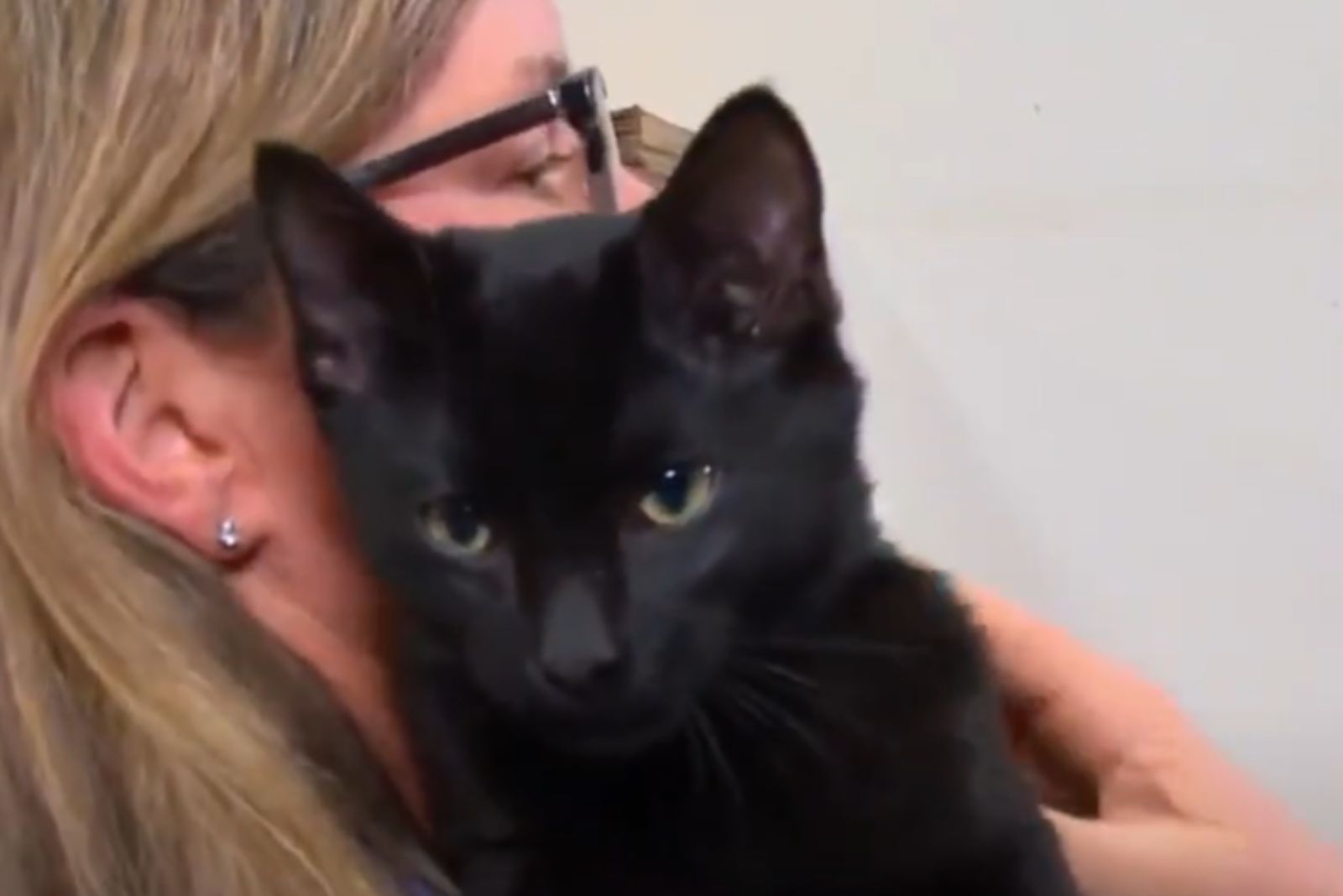 little black kitten enjoys being held