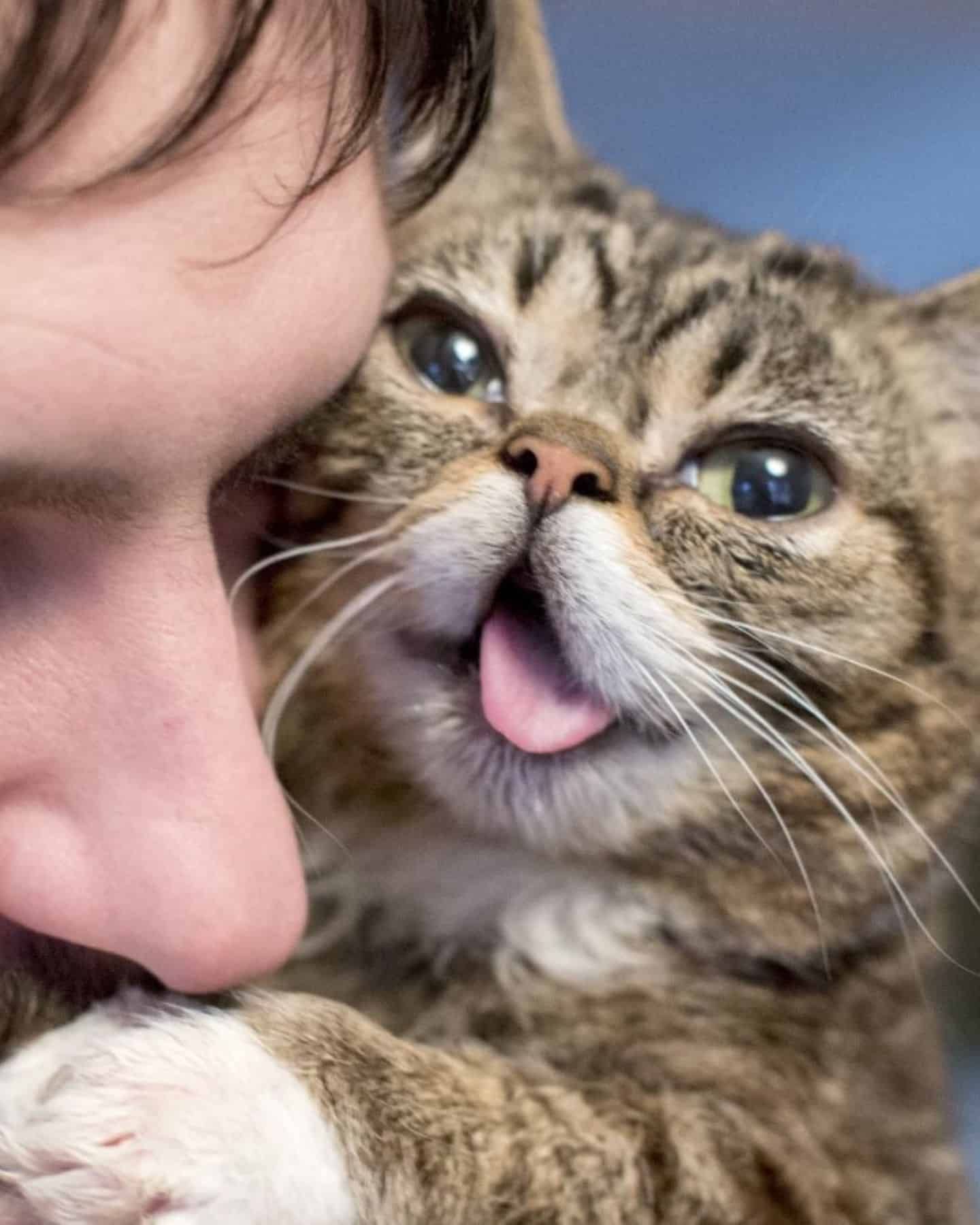 man and cat cuddling