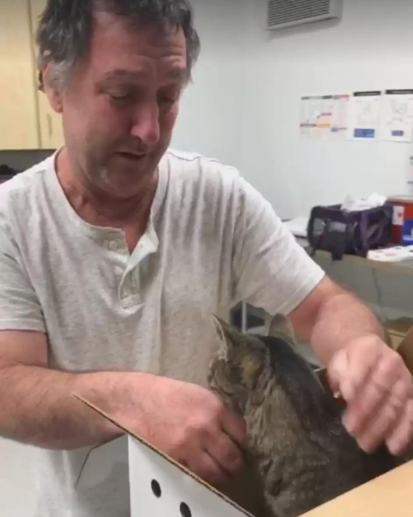 man and cat in a box