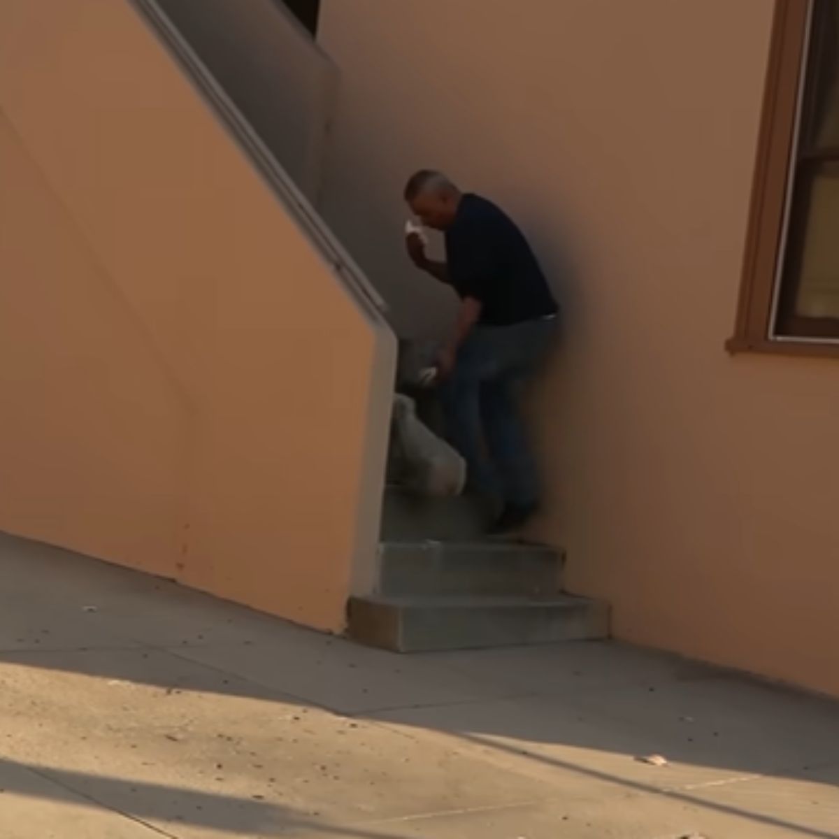 man and dog walking up the stairs