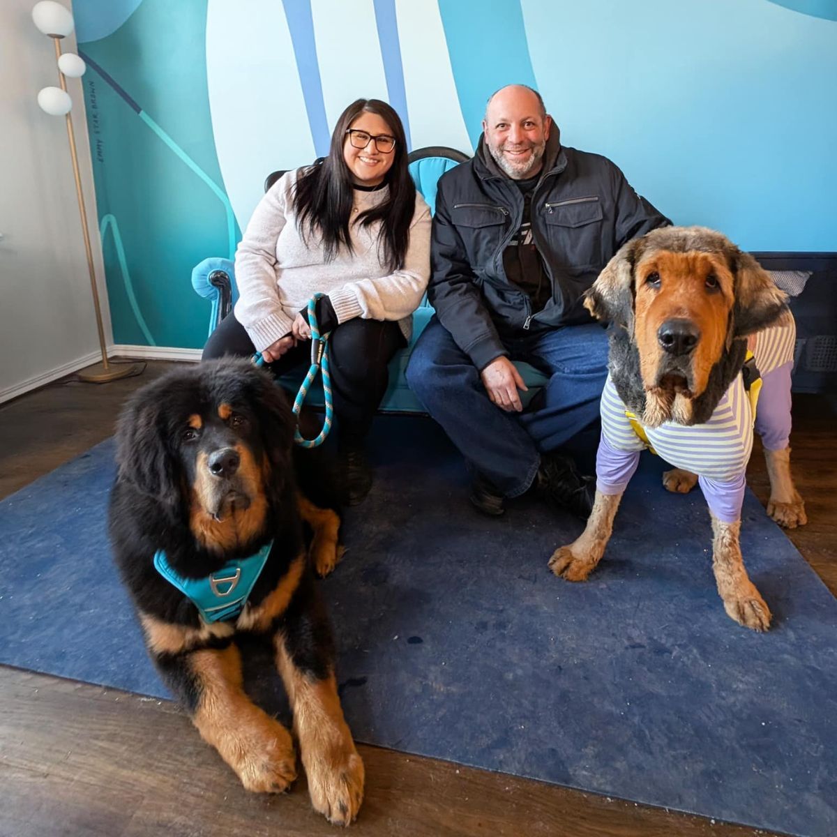 man and woman with two dogs