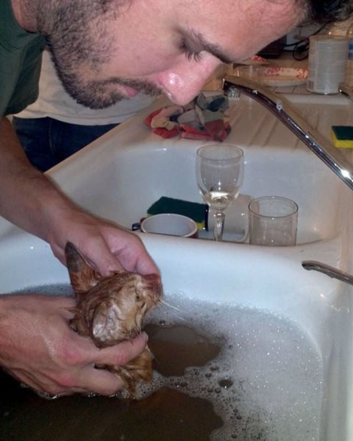 man bathes a kitten