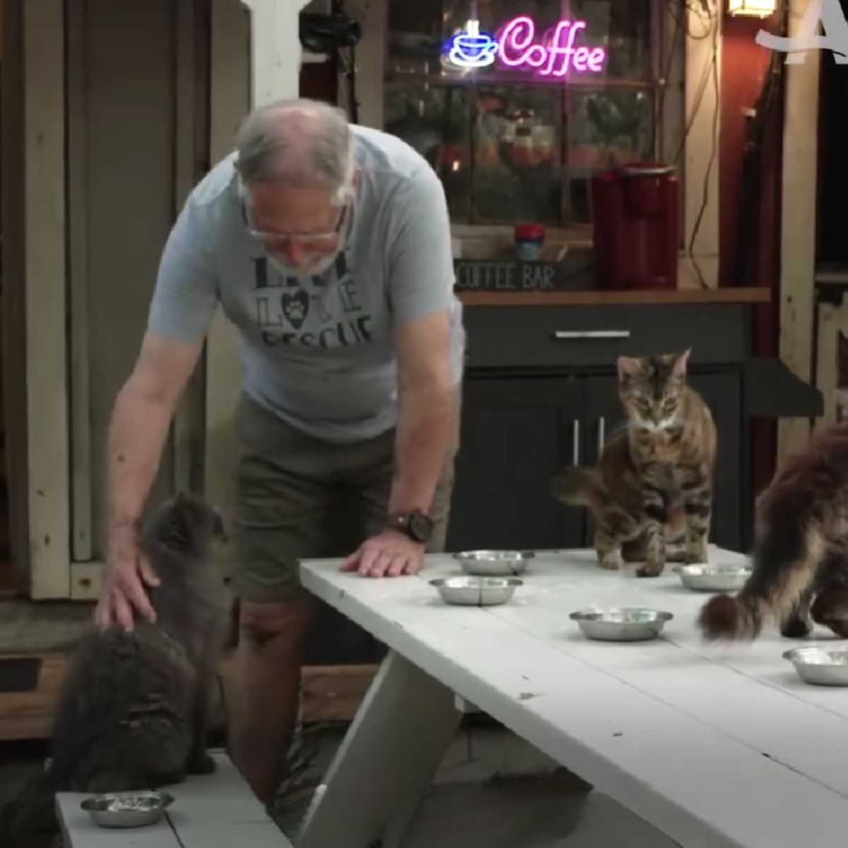 man cuddling the cats