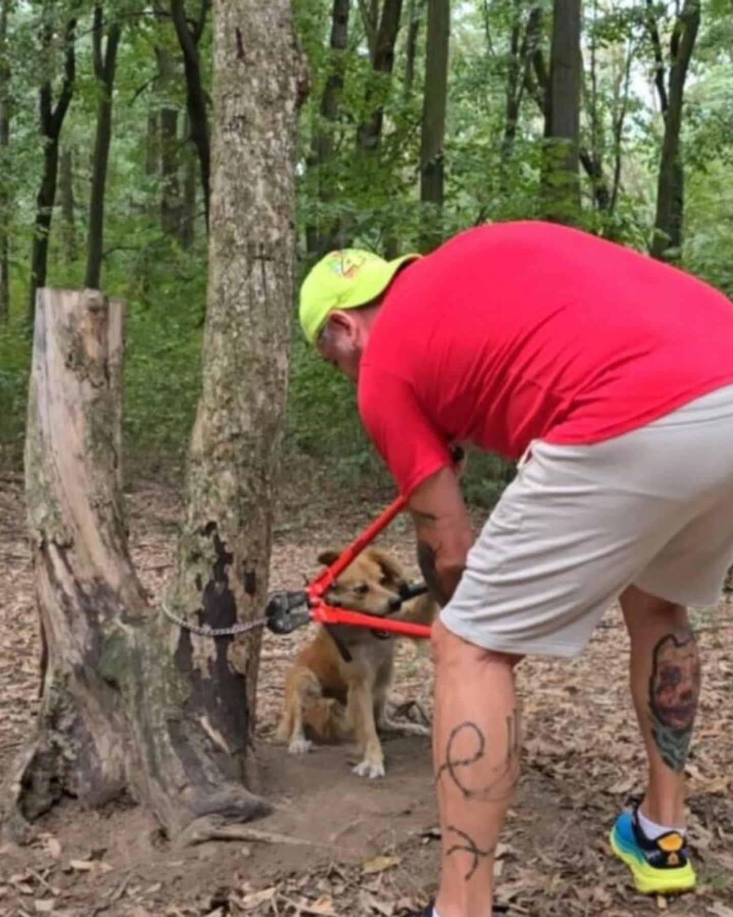 man cutting the chain