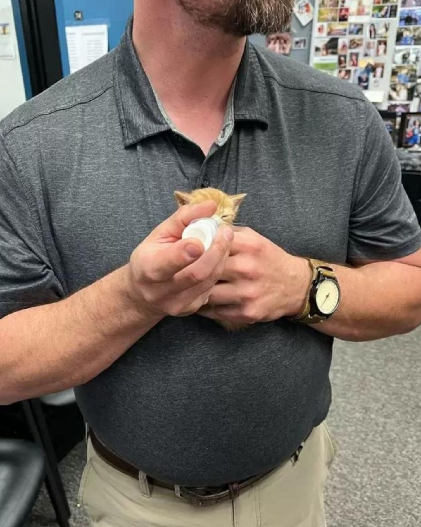 man feeding the kitten