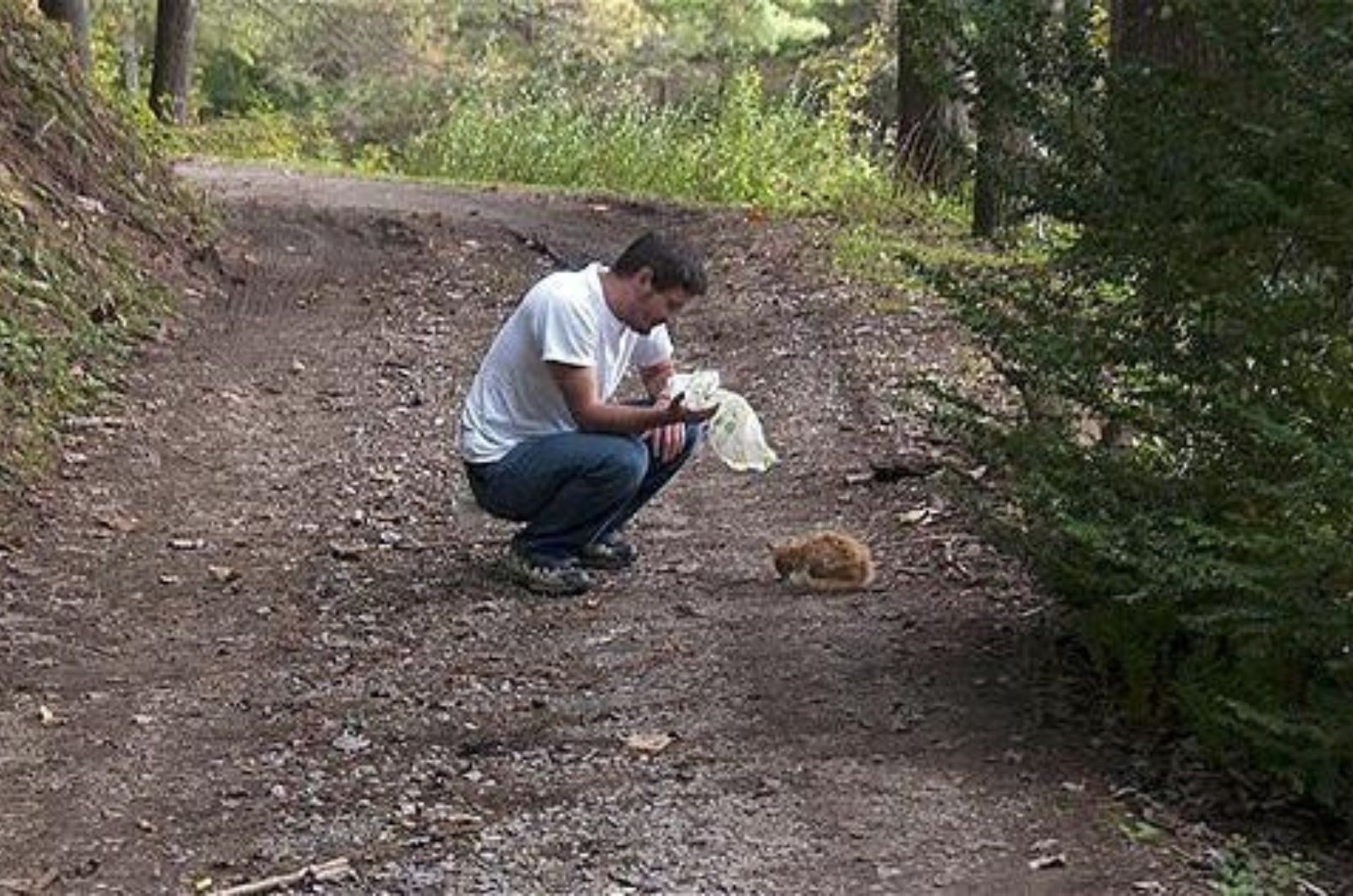 man finds a tiny kitten in the forest