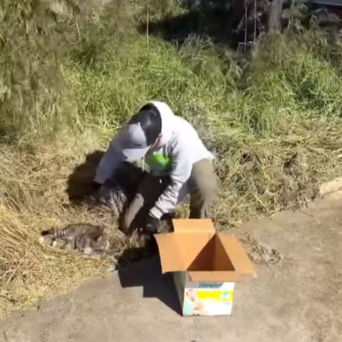 man finds injured cat on the side of the road