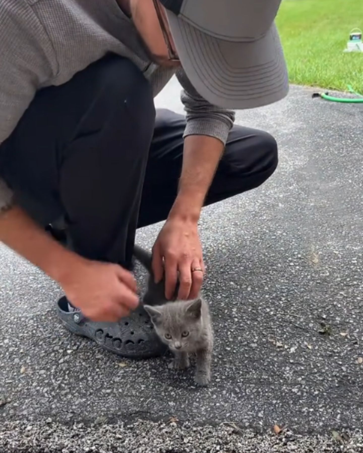 man finds tiny gray kitten