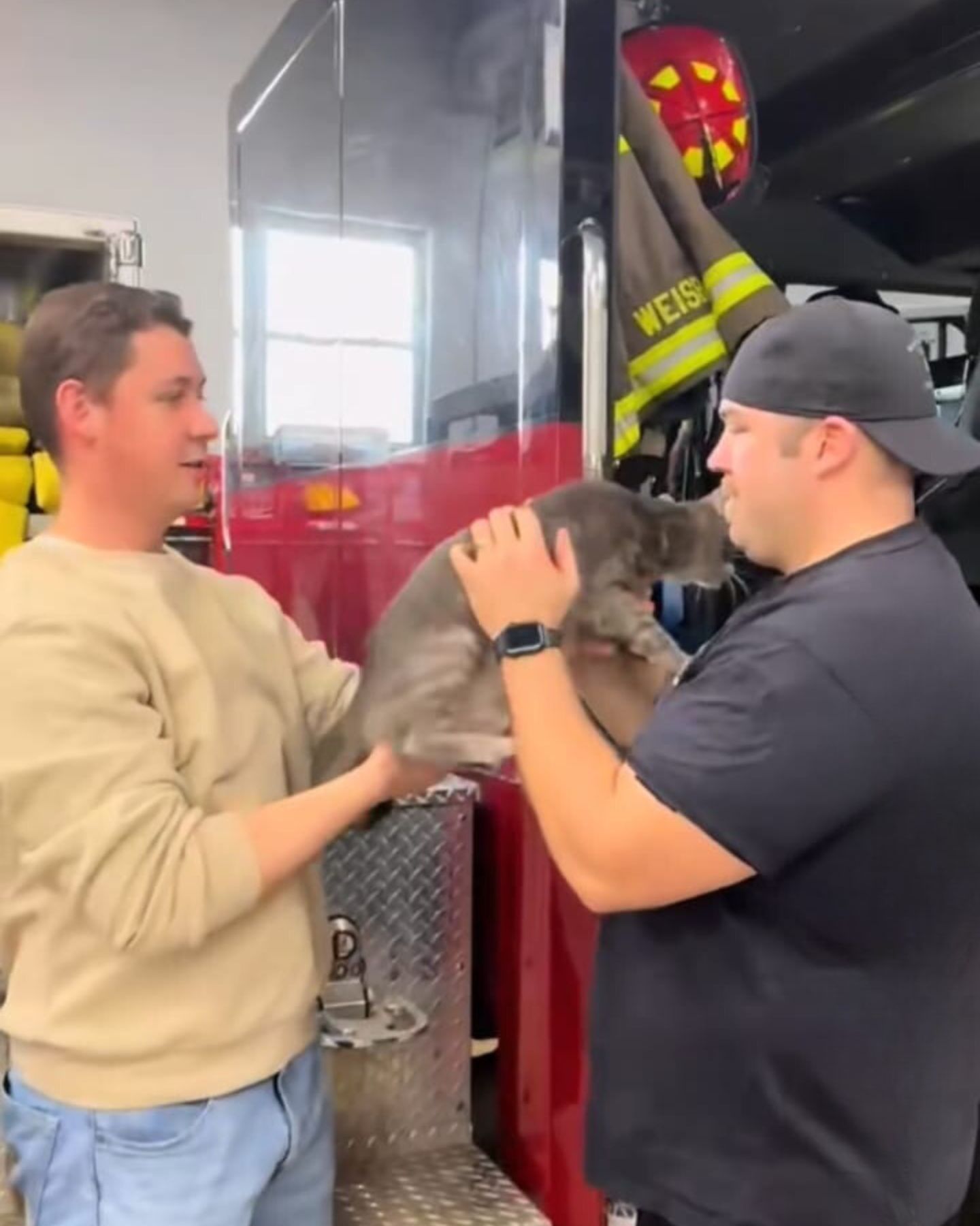 man hands over cat to firefighter