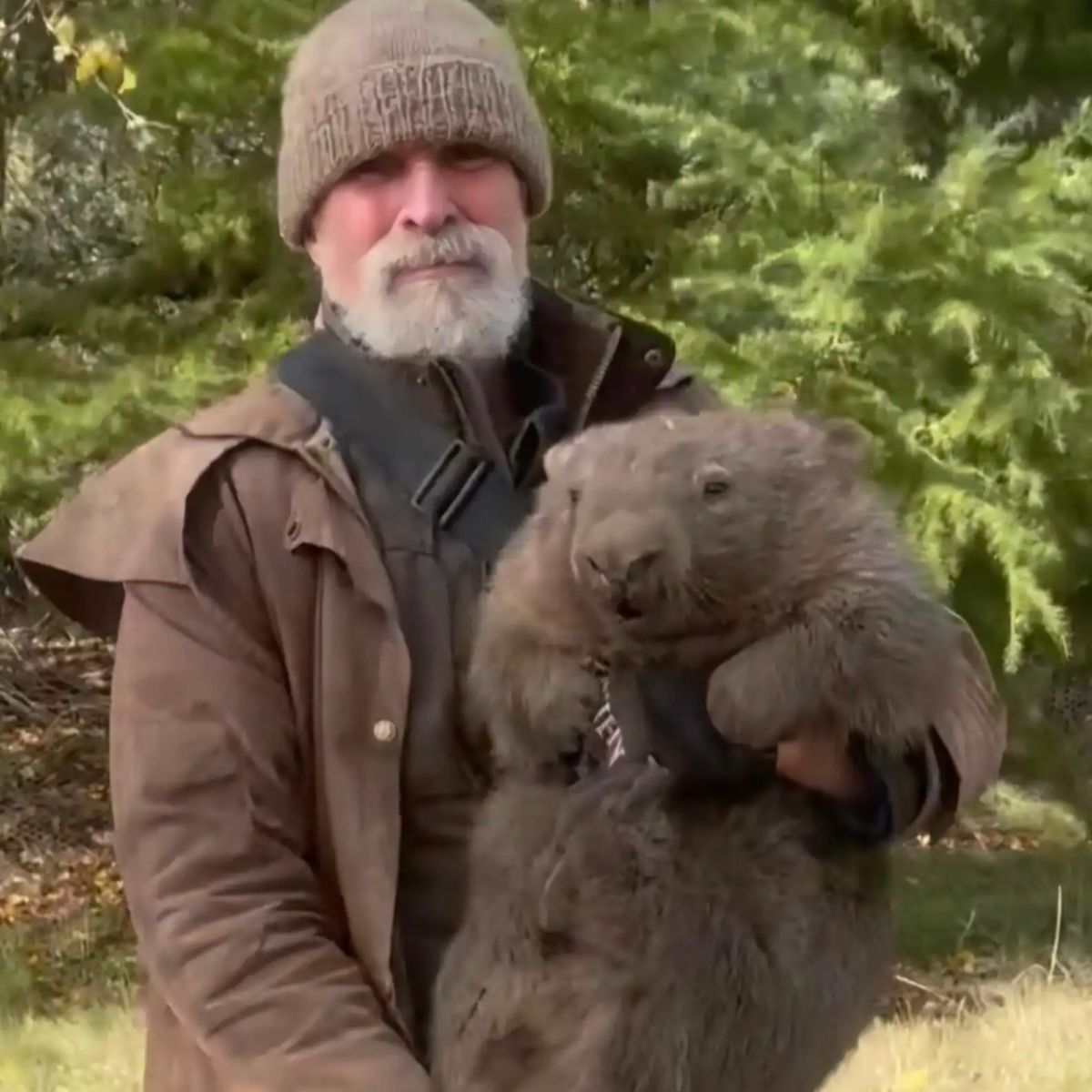 man holding wombat