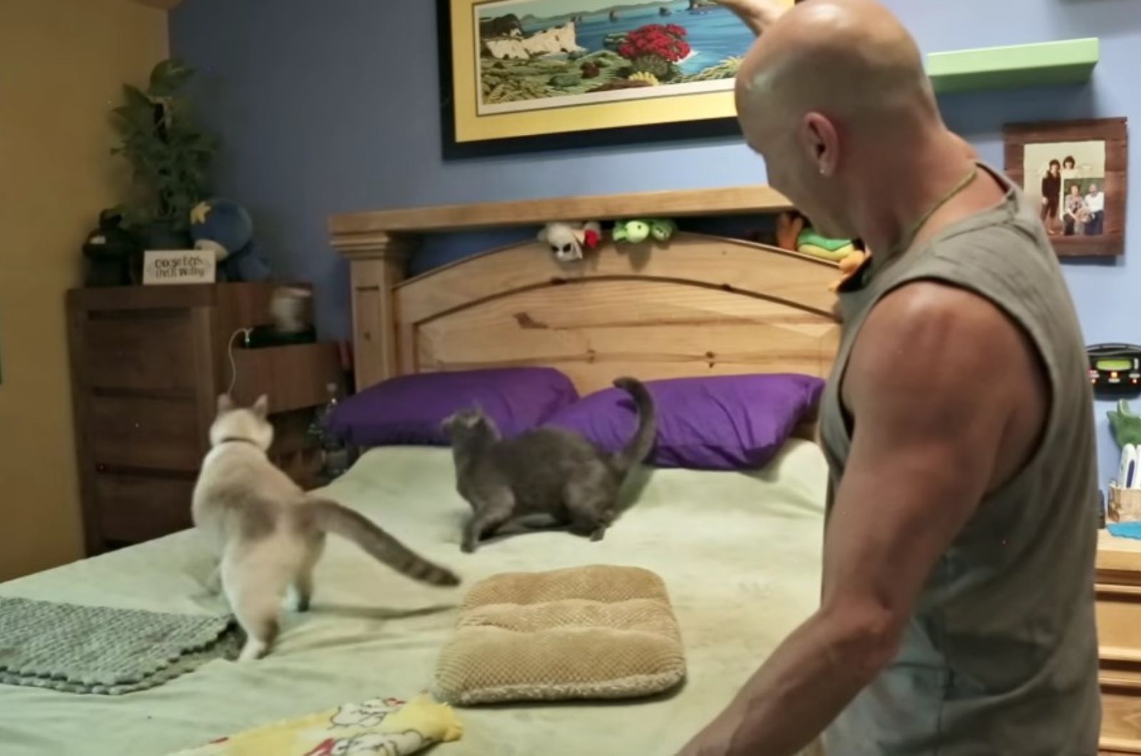 man is playing with cats on the bed