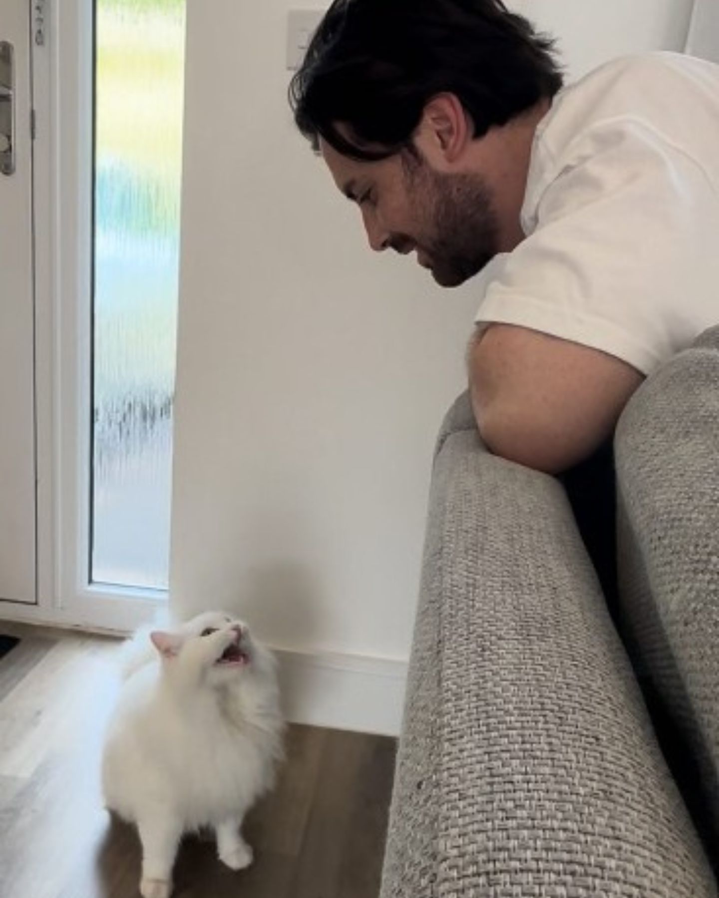 man looking at cat screaming
