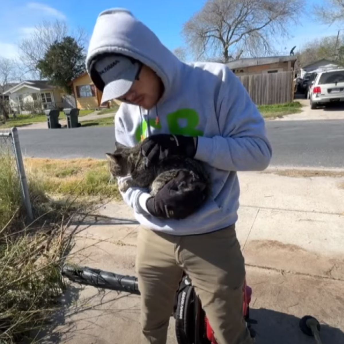 man picks up injured cat